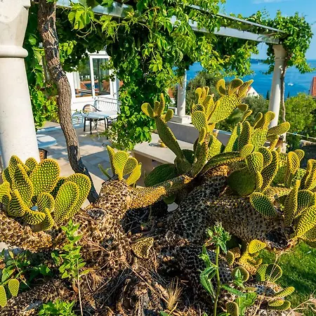Adriatic Mlini